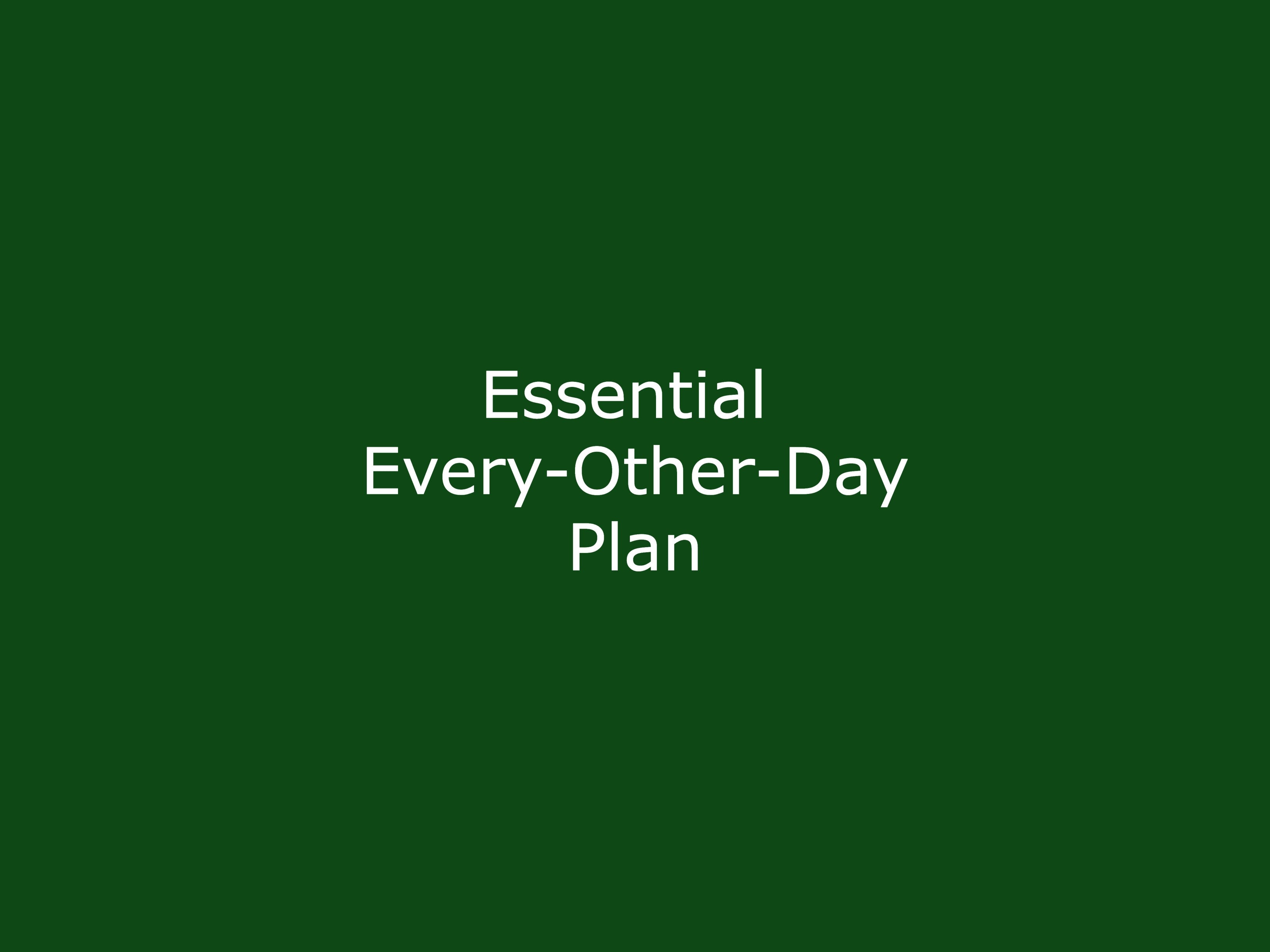 Essential Every-Other-Day Plan (MWF) + Horse Handling