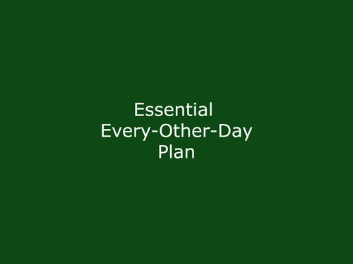 Essential Every-Other-Day Plan (MWF) + Horse Handling