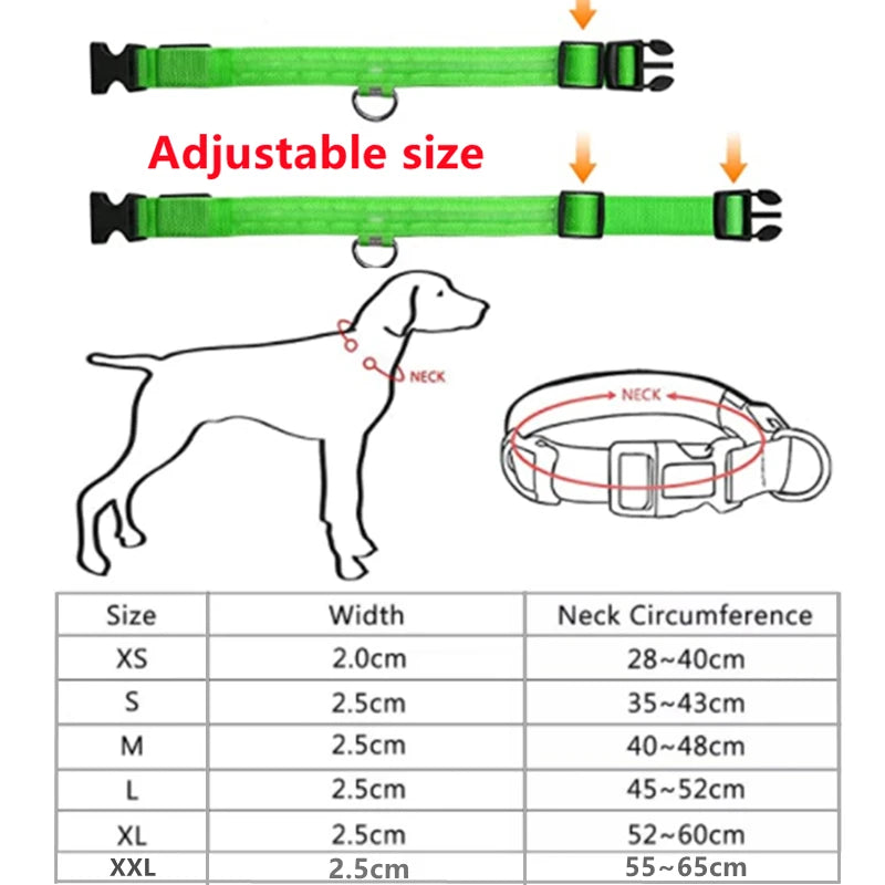 LED-Dog-Collar