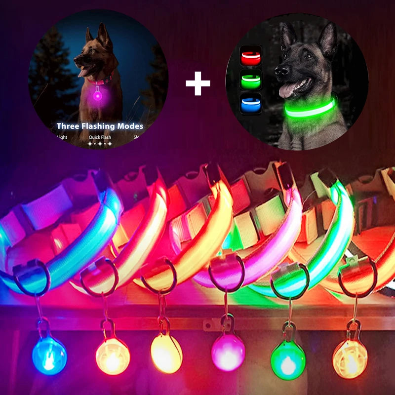 LED-Dog-Collar