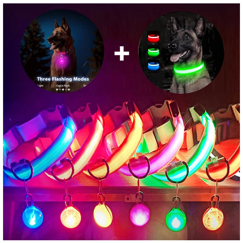 LED-Dog-Collar