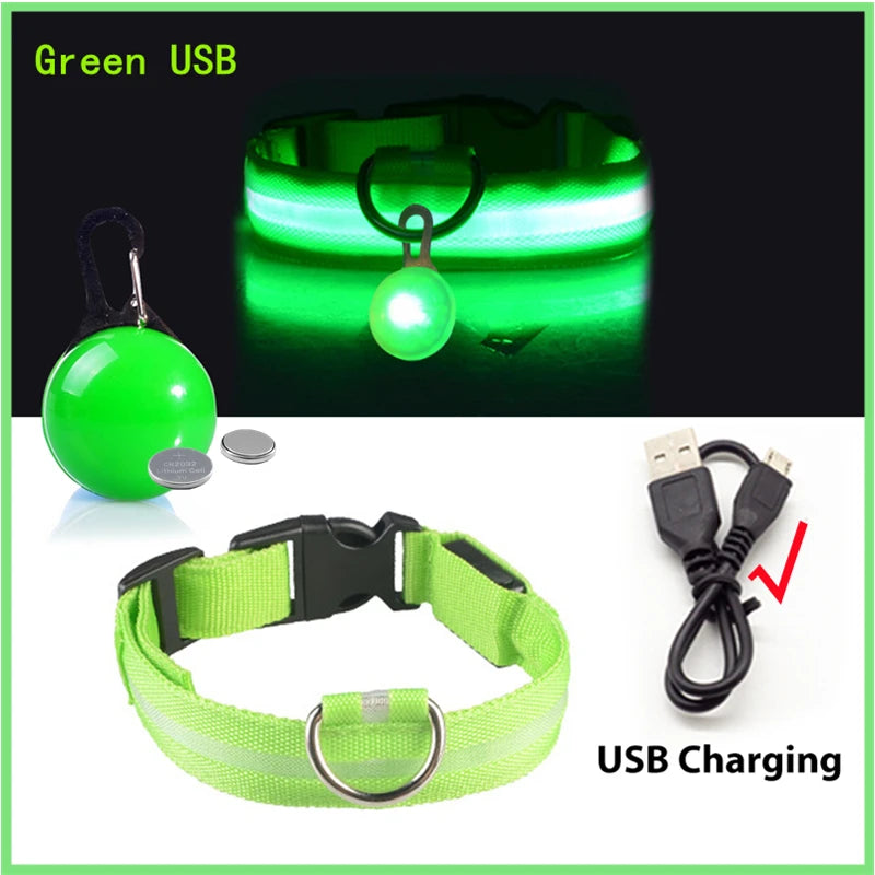 LED-Dog-Collar