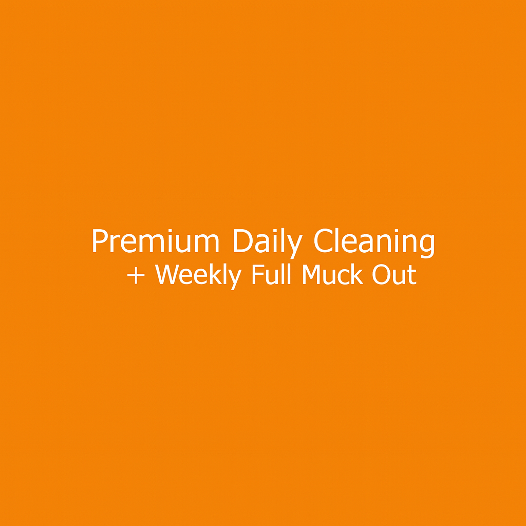 Premium Daily Care + Weekly Deep Clean